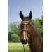 Čabraka na uši koně jako ozdoba i ochrana proti mouchám proužkovaná ve fialovo černé barvě a velikosti full