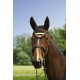 Čabraka na uši koně jako ozdoba i ochrana proti mouchám proužkovaná v čoko béžové barvě a velikosti full
