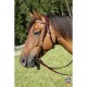 Výprodej, Westernová uzdečka  na koně Virginia v hnědé barvě barvě